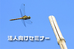 @lZ~i[C[W