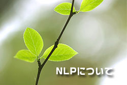 NPLイメージ